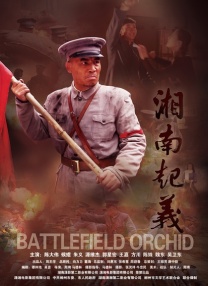 免费阴道网站
